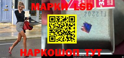 индика Камышлов
