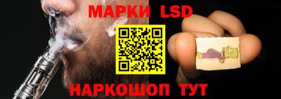индика Камышлов
