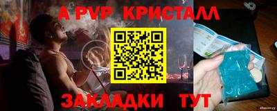 индика Камышлов
