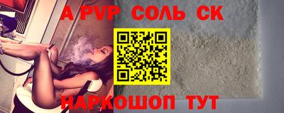 индика Камышлов