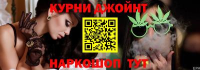 индика Камышлов