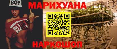 индика Камышлов