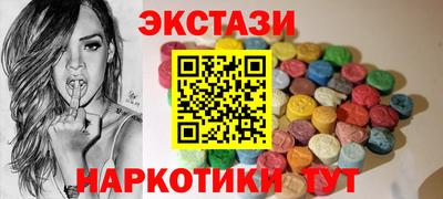 индика Камышлов