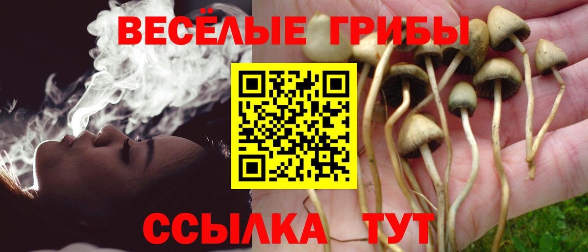 Краснокаменск  Псилоцибиновые грибы прущие грибы  Галлюциногенные грибы ЛСД  Вход с VPN 